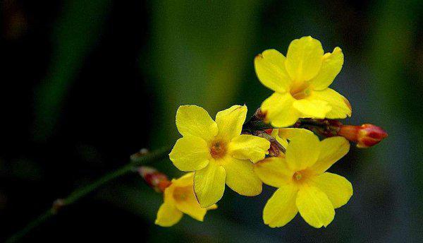 摄影中的曝光量是什么意思