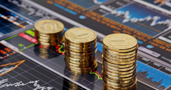 550分文科生能报哪些大学