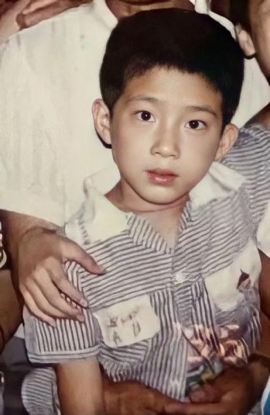 井柏然个人简介资料