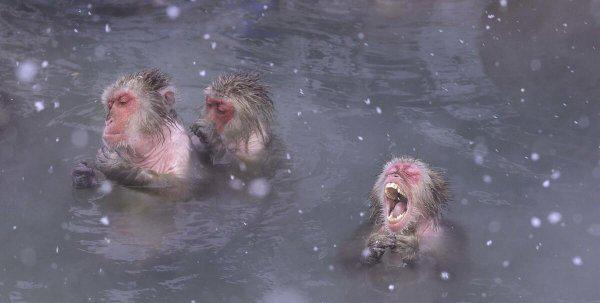 女性泡温泉要穿内裤吗