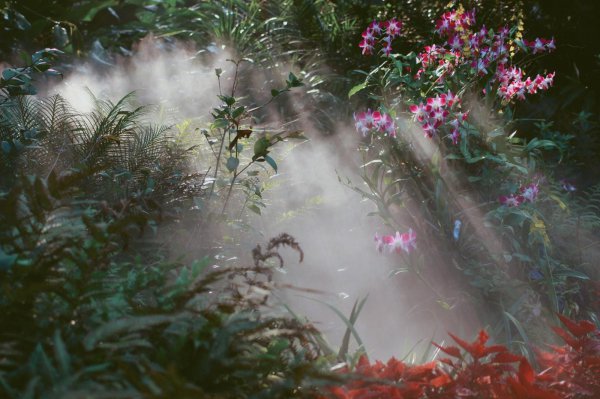 厦门最好玩的三个地方是哪里