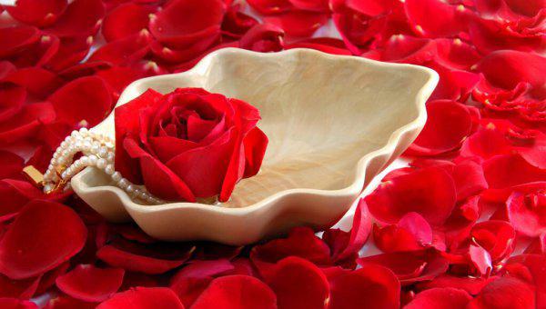 挽回老婆的最佳短信