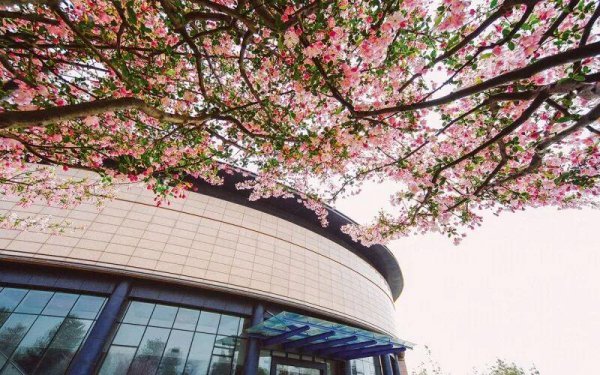 浙江大学城市学院好吗