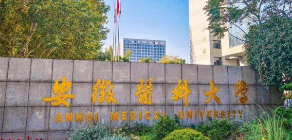 安徽最有潜力的二本大学