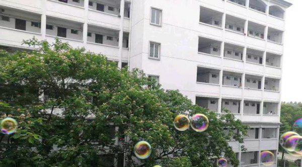 安徽最有潜力的二本大学