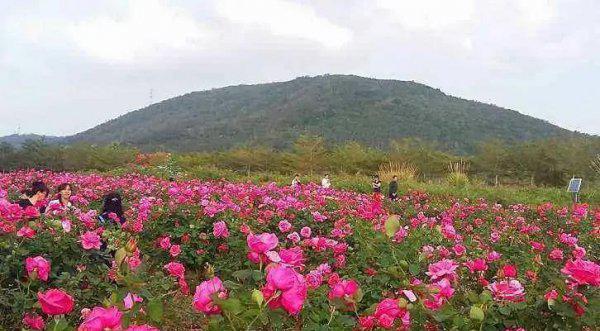 亚龙湾有什么好玩的景点
