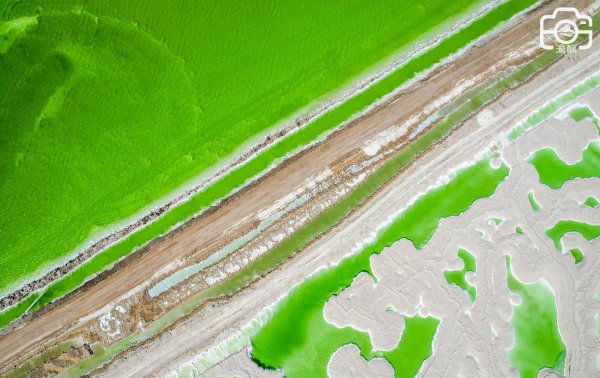 察尔汗盐湖在哪里