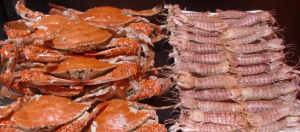 葫芦岛属于哪个城市