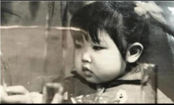 张也个人资料简介