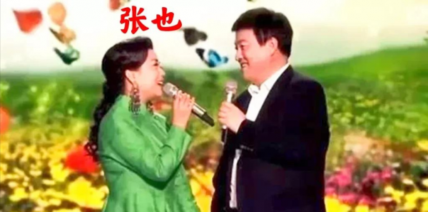 张也个人资料简介