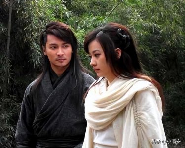 流星蝴蝶剑小蝶的孩子是谁的 小说小蝶孩子的父亲是谁