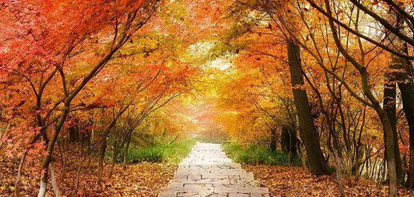 南京有什么好玩的地方或者景点