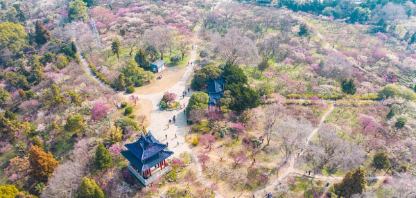 南京有什么好玩的地方或者景点