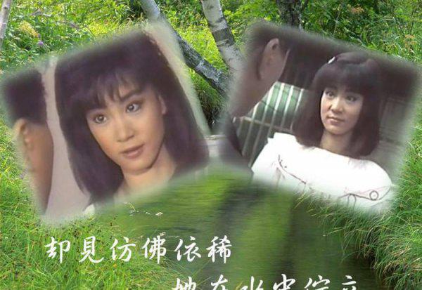 琼瑶剧有哪些电视剧