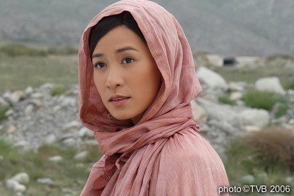 佘诗曼主演的电视剧大全