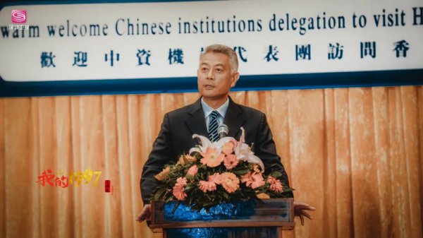 高建国岳芳英是什么电视剧