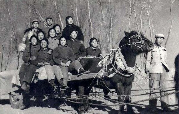 以前的知青是什么意思