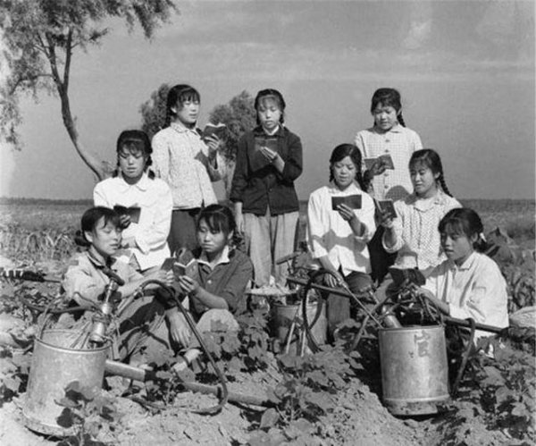 以前的知青是什么意思