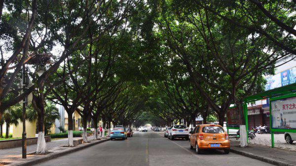 蒙自属于云南的哪个市