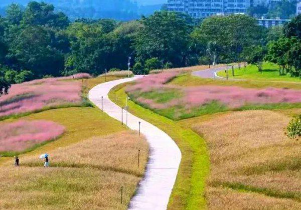 深圳十大网红公园盘点