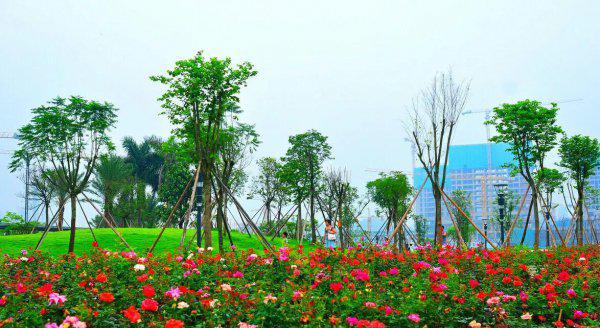 深圳十大网红公园盘点