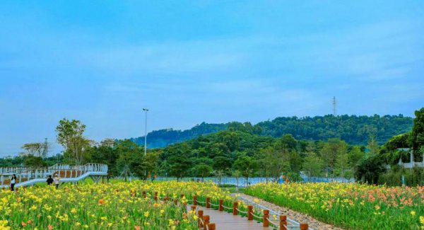 深圳十大网红公园盘点