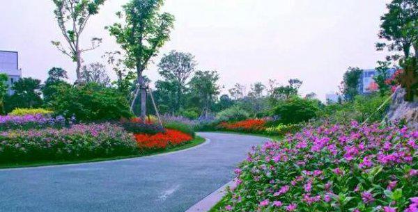 深圳十大网红公园盘点