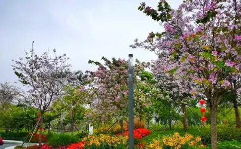 深圳十大网红公园盘点