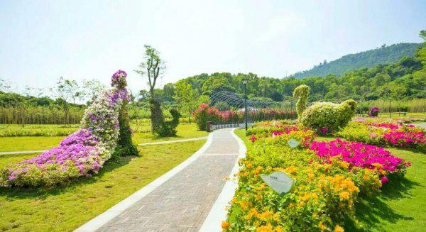 深圳十大网红公园盘点