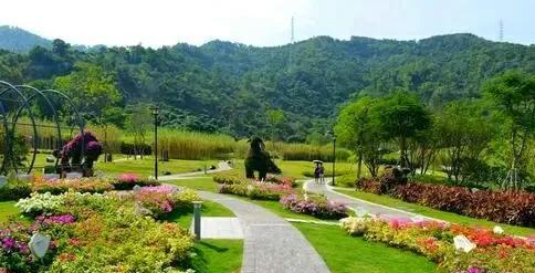 深圳十大网红公园盘点