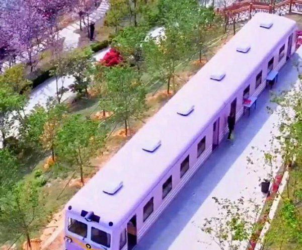 深圳十大网红公园盘点