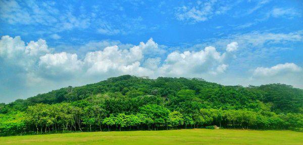 深圳十大网红公园盘点