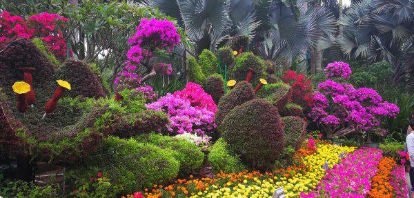 深圳十大网红公园盘点