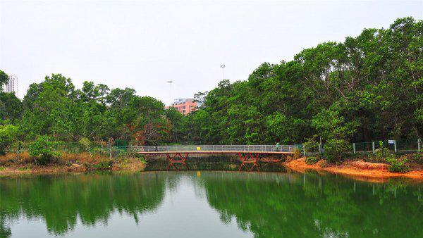 深圳十大网红公园盘点