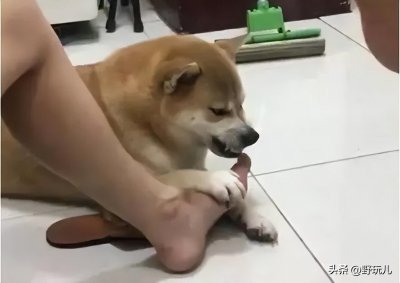 涉水鞋什么意思 夏季户外游玩如何正确选购涉水鞋