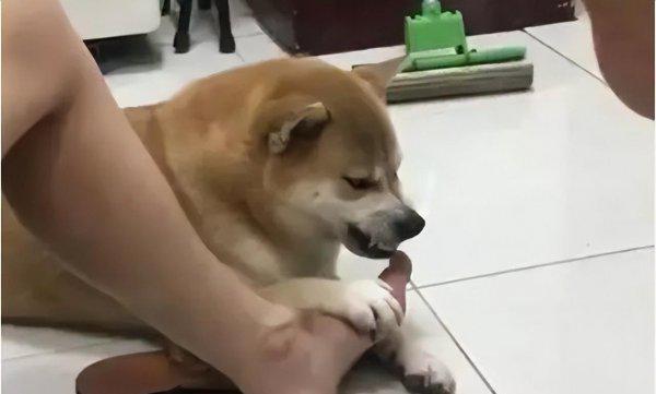 涉水鞋什么意思