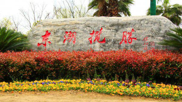 武汉占地面积是多少