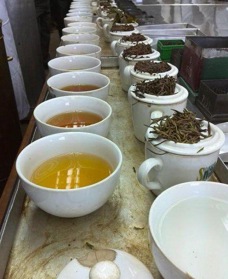 金骏眉产地哪里最好又正宗