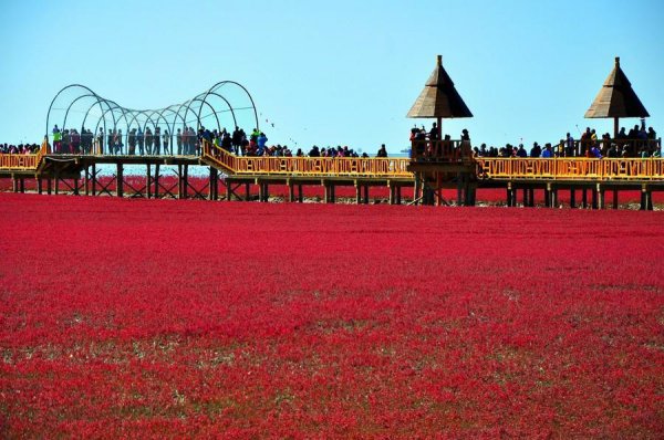 盘锦是几线城市