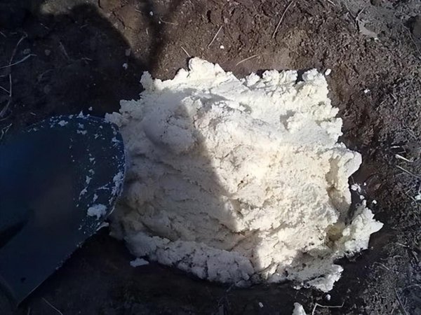 豆腐渣怎么发酵做肥料