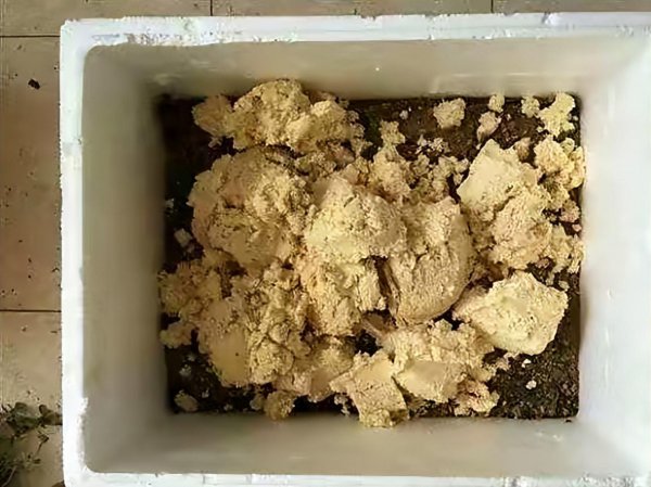 豆腐渣怎么发酵做肥料