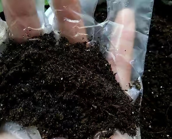 豆腐渣怎么发酵做肥料