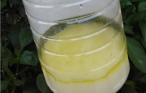 豆腐渣怎么发酵做肥料