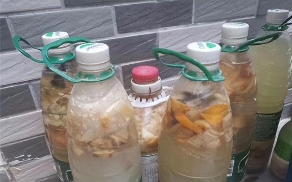 豆腐渣怎么发酵做肥料