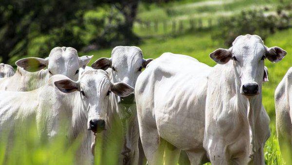 人口数量国家排名