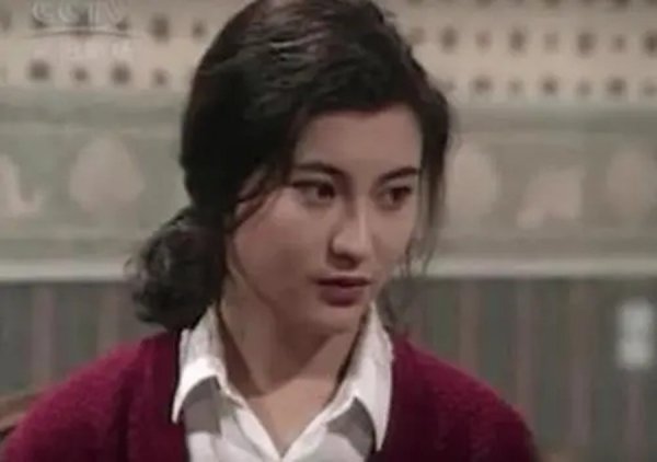 蔡晓仪个人资料简介