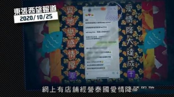 蔡晓仪个人资料简介