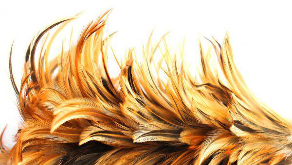 义乌属于浙江哪个市管辖