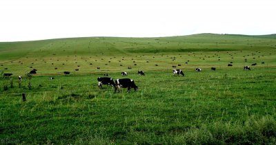 中国的自治区有哪些 简单介绍我国五个自治区的基本情况