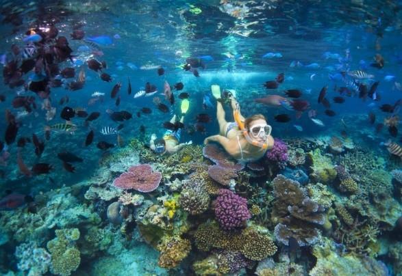 瓦努阿图是哪个国家